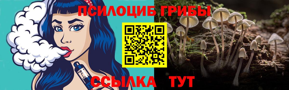 Великие Луки  Галлюциногенные грибы прущие грибы  Вход с VPN 